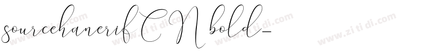sourcehanerifCN bold字体转换